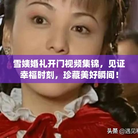 雪姨婚礼开门视频集锦,见证幸福时刻,珍藏美好瞬间!