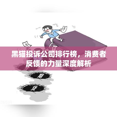 黑猫投诉公司排行榜,消费者反馈的力量深度解析