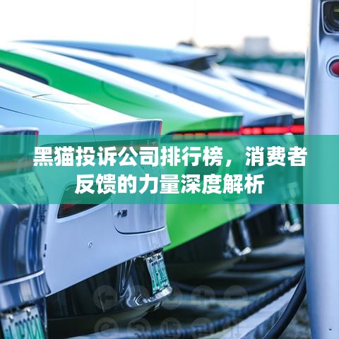 黑猫投诉公司排行榜,消费者反馈的力量深度解析
