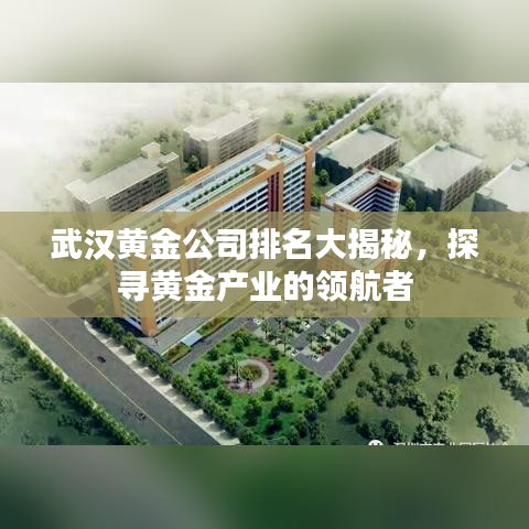 武汉黄金公司排名大揭秘，探寻黄金产业的领航者
