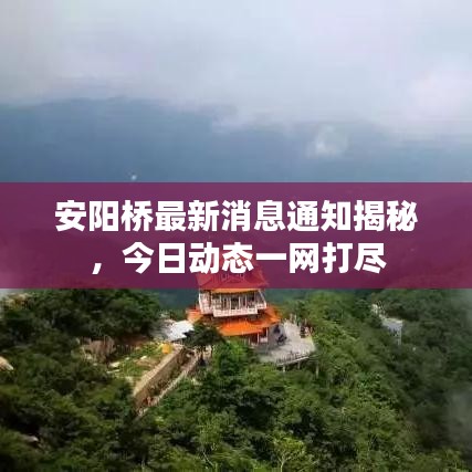 安阳桥最新消息通知揭秘,今日动态一网打尽