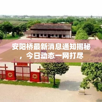 安阳桥最新消息通知揭秘,今日动态一网打尽