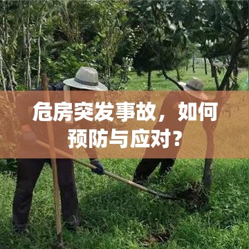 危房突发事故,如何预防与应对?