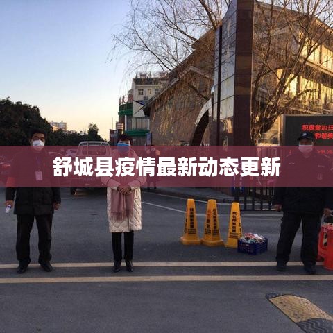 舒城县疫情最新动态更新