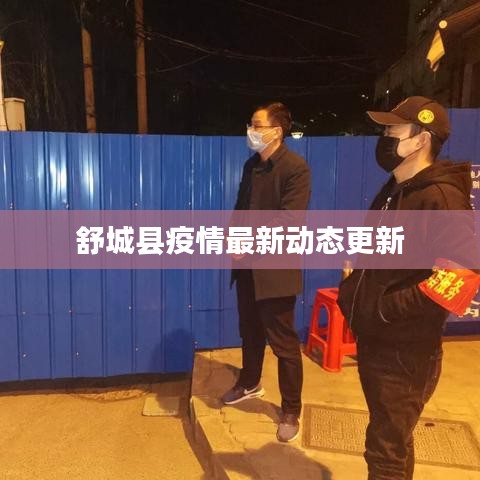 舒城县疫情最新动态更新