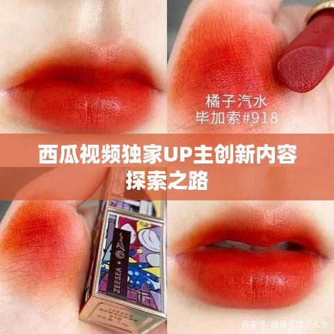 西瓜视频独家UP主创新内容探索之路