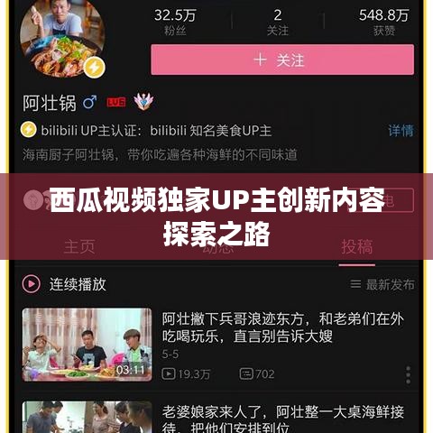 西瓜视频独家UP主创新内容探索之路