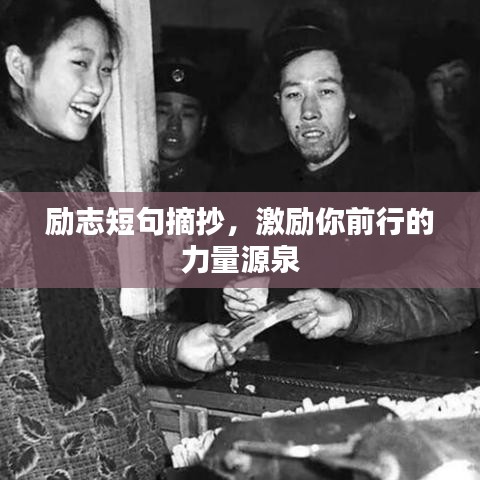 猫和老鼠黑暗版本,稳定性操作方案分析-云端版_v10.694