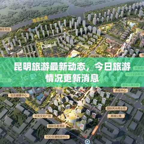 昆明旅游最新动态,今日旅游情况更新消息