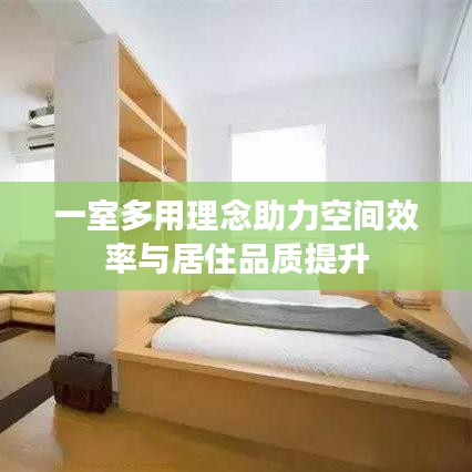 一室多用理念助力空间效率与居住品质提升