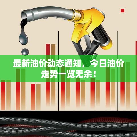 最新油价动态通知，今日油价走势一览无余！