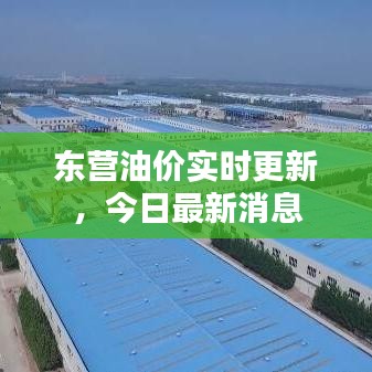 东营油价实时更新,今日最新消息