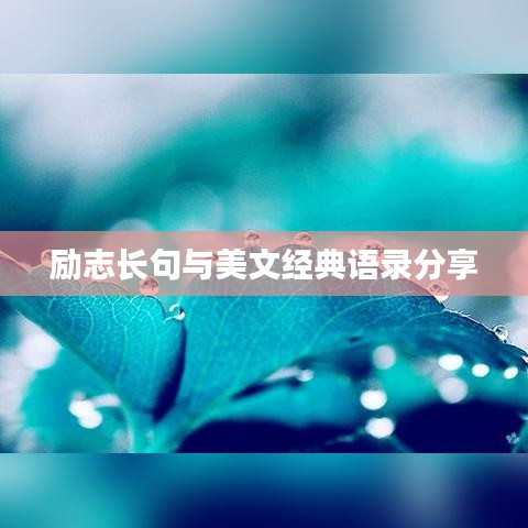 励志长句与美文经典语录分享