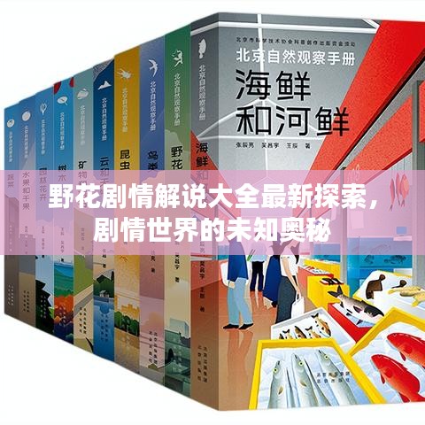野花剧情解说大全最新探索，剧情世界的未知奥秘