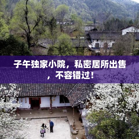 子午独家小院，私密居所出售，不容错过！