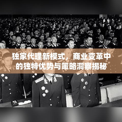 独家代理新模式，商业变革中的独特优势与策略洞察揭秘