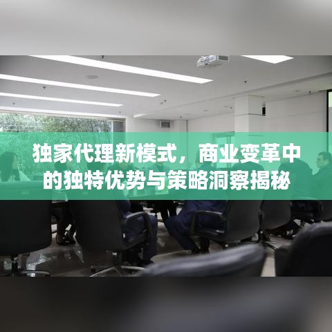 独家代理新模式,商业变革中的独特优势与策略洞察揭秘