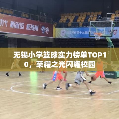无锡小学篮球实力榜单TOP10，荣耀之光闪耀校园
