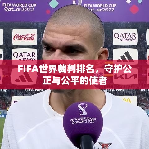FIFA世界裁判排名,守护公正与公平的使者