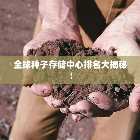 全球种子存储中心排名大揭秘！