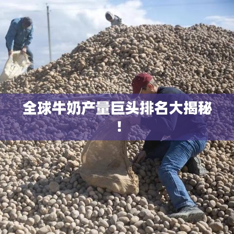 全球牛奶产量巨头排名大揭秘！
