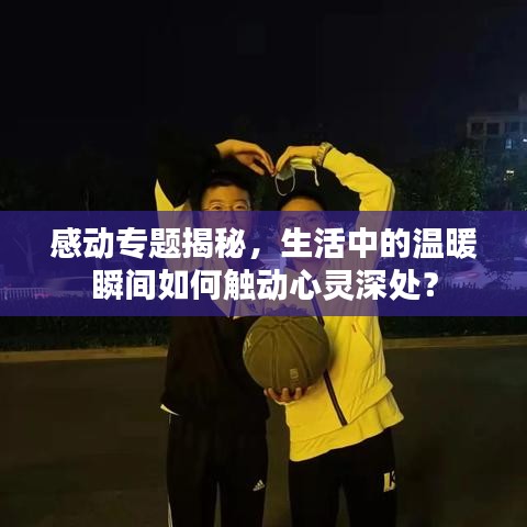 感动专题揭秘，生活中的温暖瞬间如何触动心灵深处？