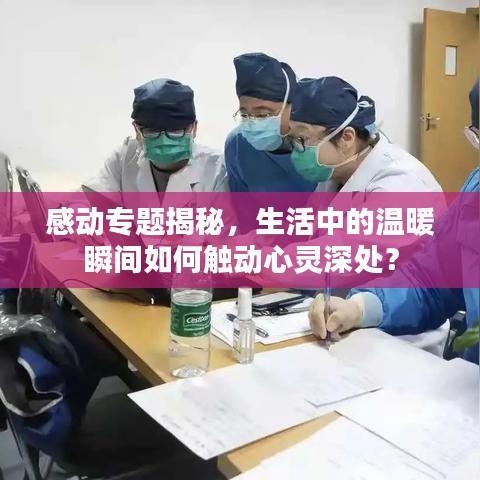 感动专题揭秘,生活中的温暖瞬间如何触动心灵深处?
