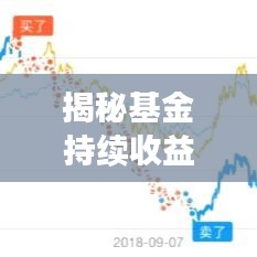 揭秘基金持续收益秘诀,周末也能收益不断!