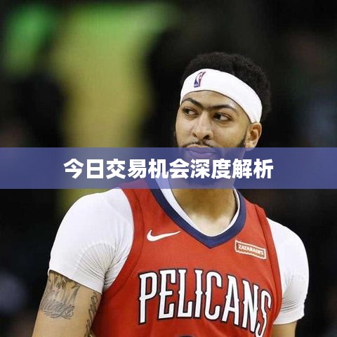 今日交易机会深度解析
