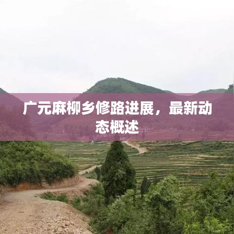 广元麻柳乡修路进展，最新动态概述