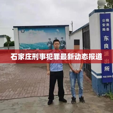 石家庄刑事犯罪最新动态报道