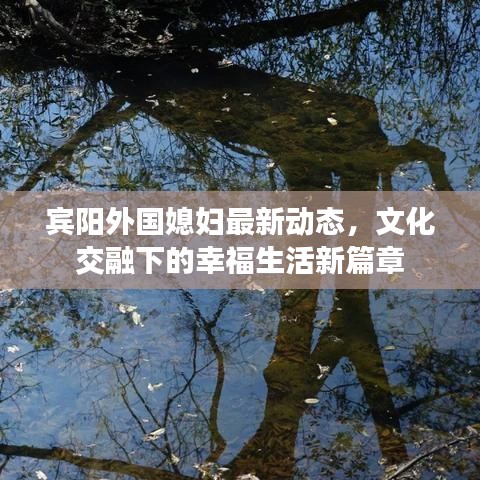宾阳外国媳妇最新动态，文化交融下的幸福生活新篇章