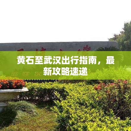 黄石至武汉出行指南，最新攻略速递