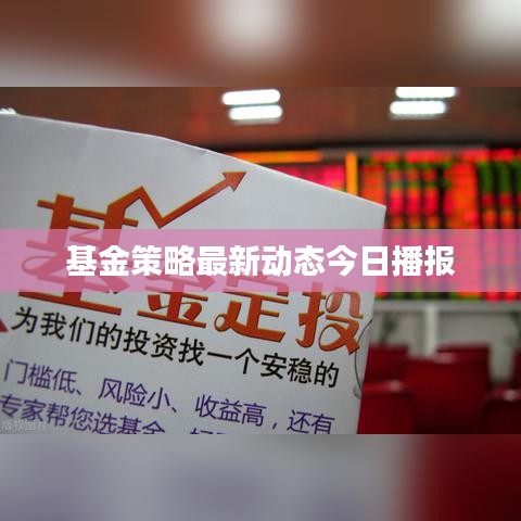 基金策略最新动态今日播报