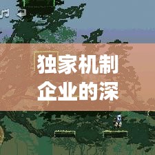 独家机制企业的深度解读与奥秘揭秘！