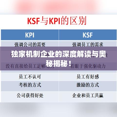 独家机制企业的深度解读与奥秘揭秘!