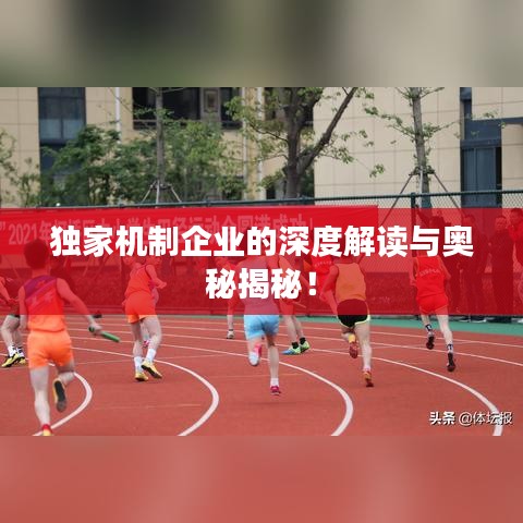 独家机制企业的深度解读与奥秘揭秘!