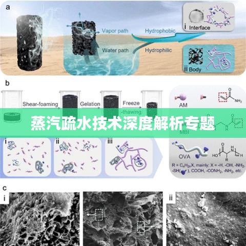蒸汽疏水技术深度解析专题