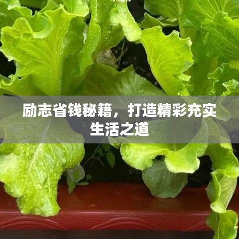 励志省钱秘籍,打造精彩充实生活之道