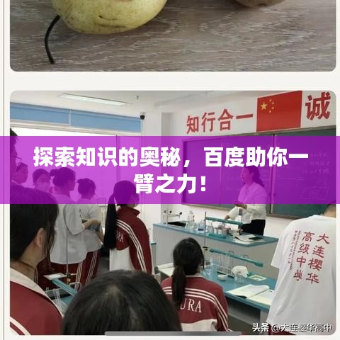 探索知识的奥秘，百度助你一臂之力！