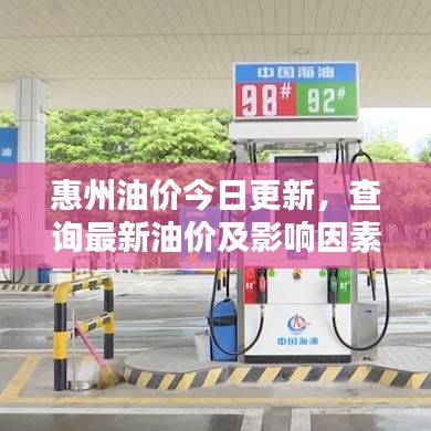 惠州油价今日更新,查询最新油价及影响因素解析
