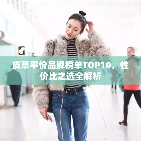 皮草平价品牌榜单TOP10，性价比之选全解析