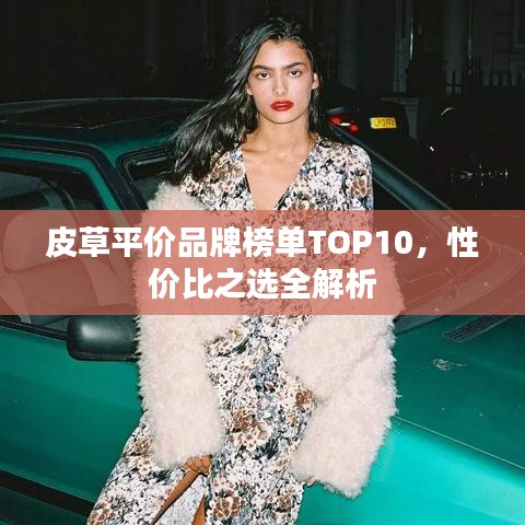 皮草平价品牌榜单TOP10,性价比之选全解析