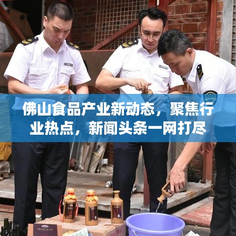 佛山食品产业新动态，聚焦行业热点，新闻头条一网打尽