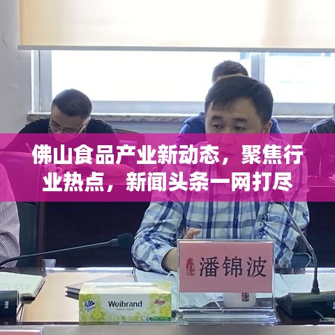 佛山食品产业新动态,聚焦行业热点,新闻头条一网打尽
