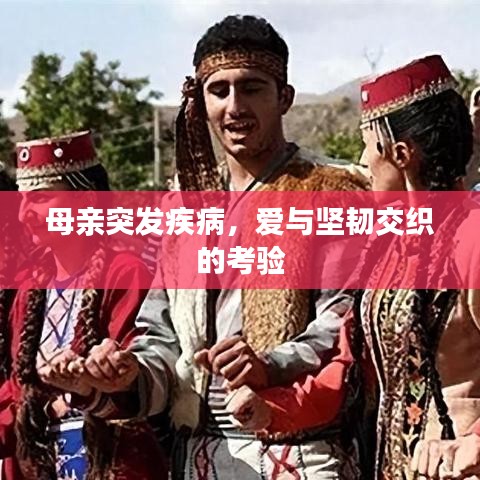 兽血沸腾单机版与TT棋牌官方下载,高效解析说明 vShop_v6.194