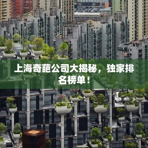上海奇葩公司大揭秘，独家排名榜单！