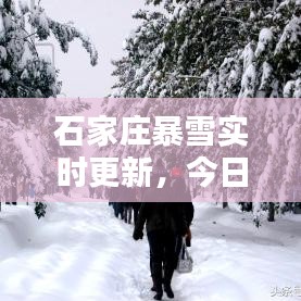 天刀手游官网明月刀及全民k歌官方下载,高速方案响应解析-Prestige_v10.694