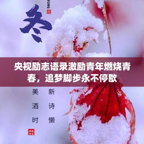 央视励志语录激励青年燃烧青春，追梦脚步永不停歇