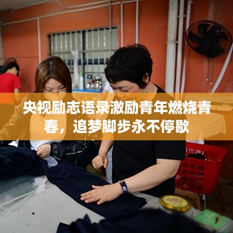 步知公考官方下载,深入数据应用解析-扩展版_v9.914